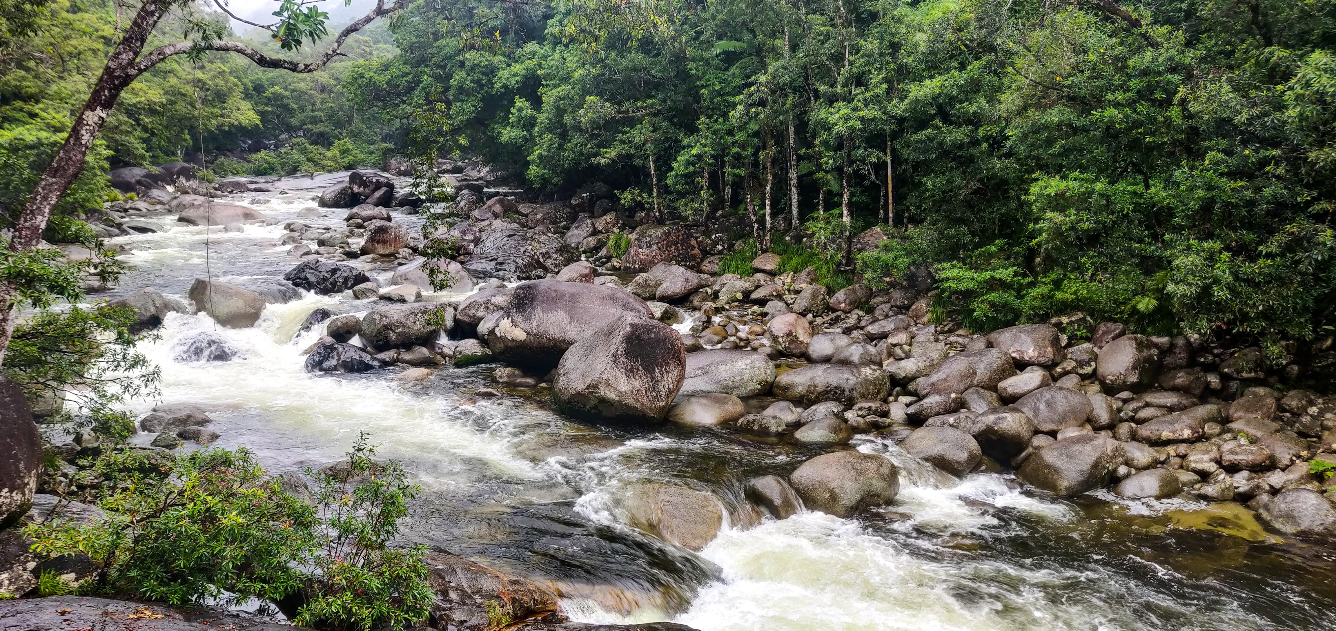 Mossman Gorge
